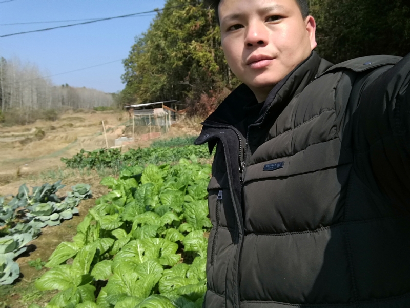 倔强的驴的第一张照片--邵武相亲网