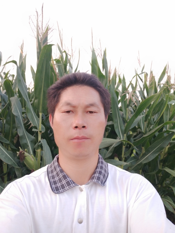 四海游龙的第一张照片--邵武相亲网