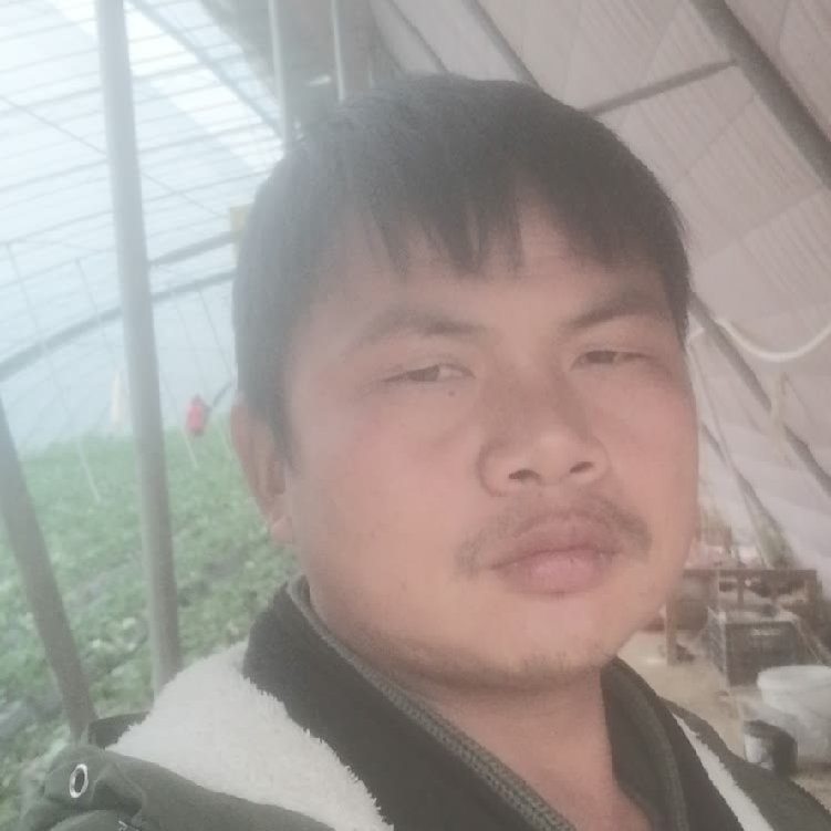 孤狼‘的第一张照片--邵武相亲网