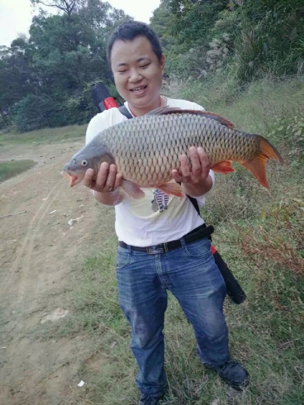 迷路的男人的第一张照片--邵武相亲网