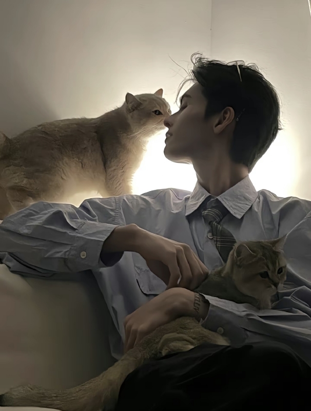怪猫的第一张照片--邵武相亲网