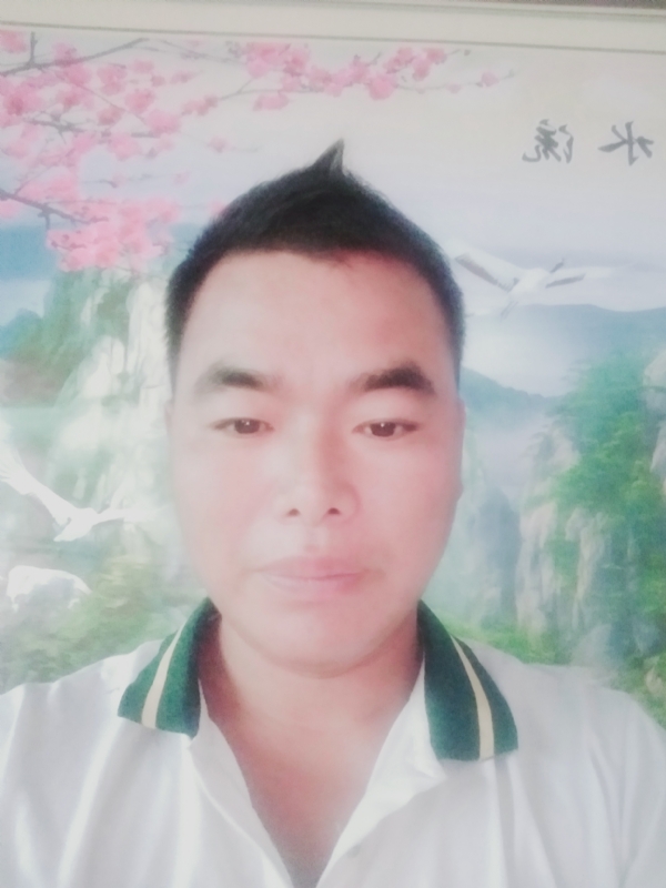 阳光男孩的第二张照片--邵武相亲网